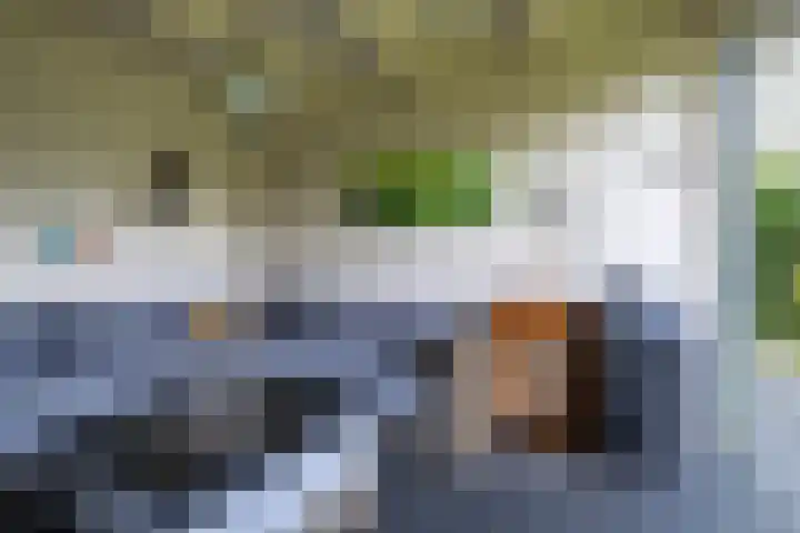 Ruys de Beerenbroucklaan 1 Pijnacker thumbnail 30