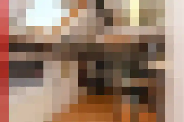 Ruys de Beerenbroucklaan 1 Pijnacker thumbnail 31