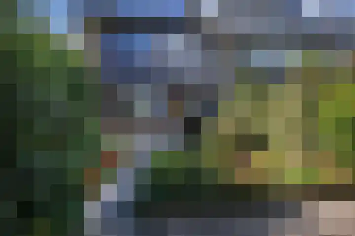 Ruys de Beerenbroucklaan 1 Pijnacker thumbnail 32