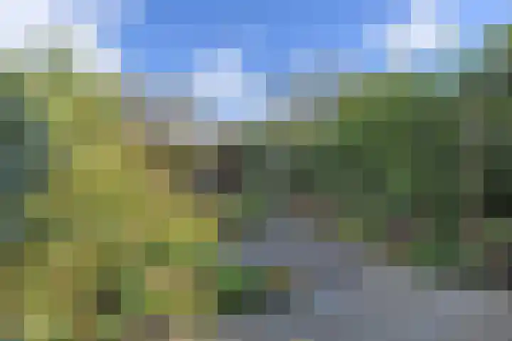Ruys de Beerenbroucklaan 1 Pijnacker thumbnail 33