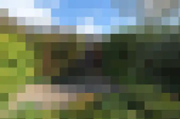 Ruys de Beerenbroucklaan 1 Pijnacker thumbnail 34