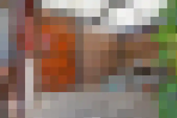 Ruys de Beerenbroucklaan 1 Pijnacker thumbnail 35
