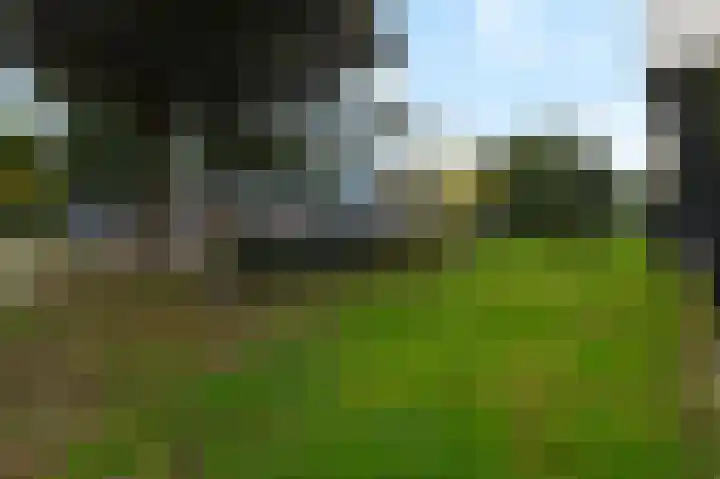 Ruys de Beerenbroucklaan 1 Pijnacker thumbnail 36