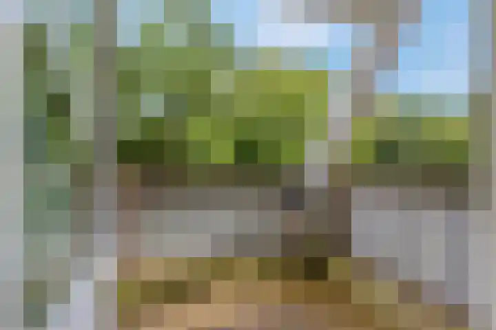Ruys de Beerenbroucklaan 1 Pijnacker thumbnail 37