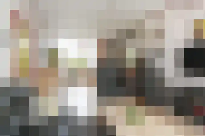 Ruys de Beerenbroucklaan 1 Pijnacker thumbnail 4
