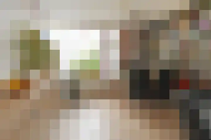 Ruys de Beerenbroucklaan 1 Pijnacker thumbnail 5
