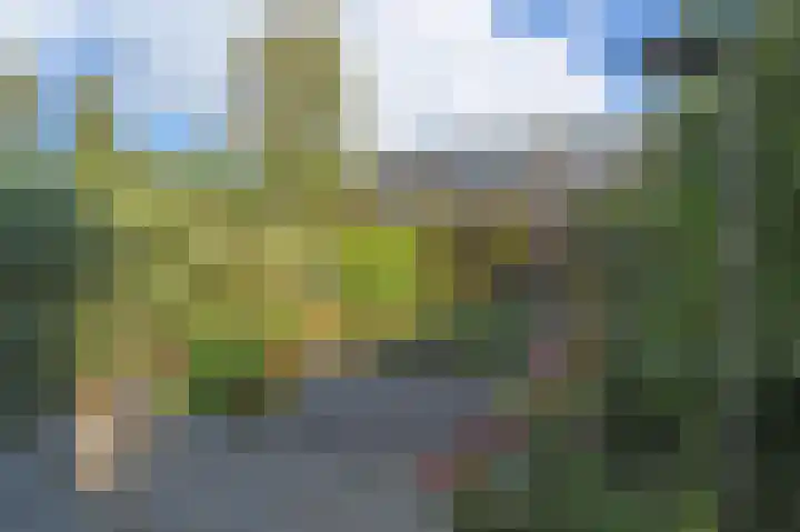 Ruys de Beerenbroucklaan 1 Pijnacker thumbnail 6