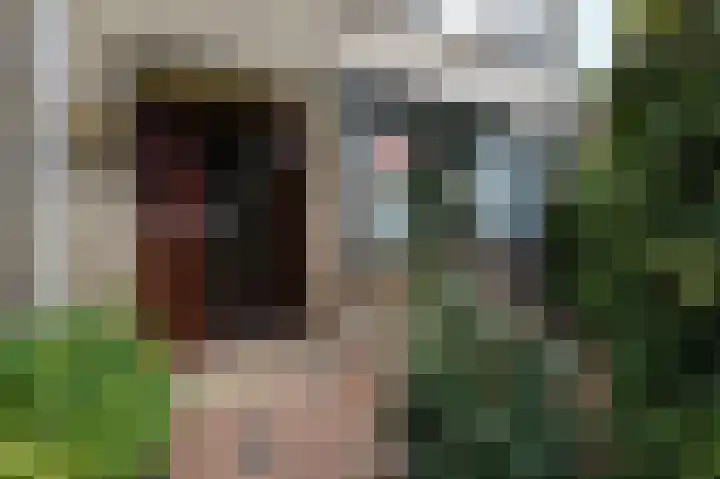 Ruys de Beerenbroucklaan 1 Pijnacker thumbnail 8