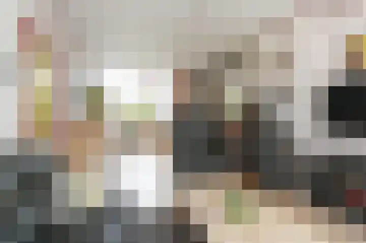 Ruys de Beerenbroucklaan 1 Pijnacker thumbnail 9