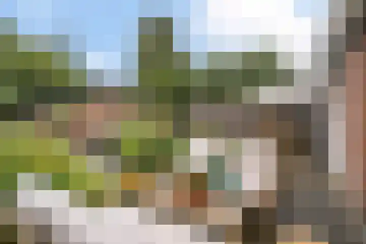 Ruys de Beerenbroucklaan 17 Amstelveen thumbnail 10