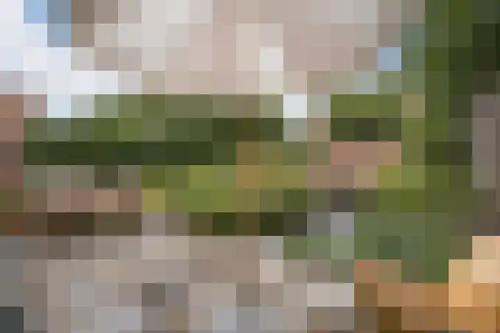 Ruys de Beerenbroucklaan 17 Amstelveen thumbnail 11