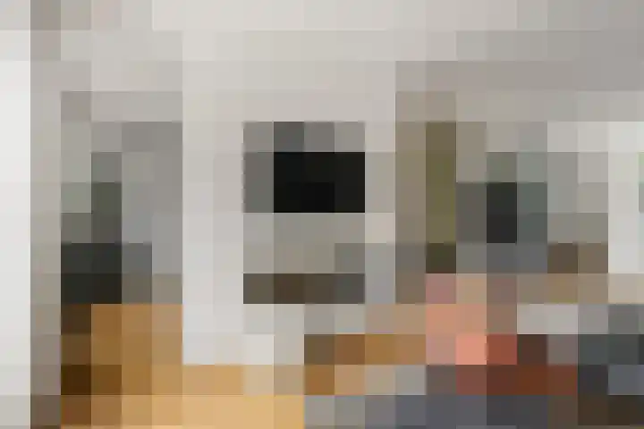 Ruys de Beerenbroucklaan 17 Amstelveen thumbnail 16