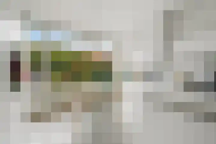Ruys de Beerenbroucklaan 17 Amstelveen thumbnail 21