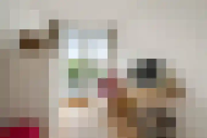 Ruys de Beerenbroucklaan 17 Amstelveen thumbnail 31