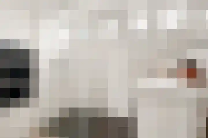 Ruys de Beerenbroucklaan 17 Amstelveen thumbnail 32