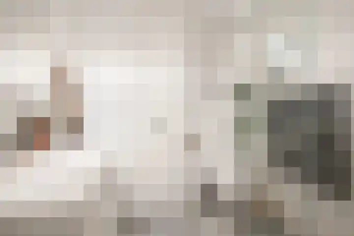 Ruys de Beerenbroucklaan 17 Amstelveen thumbnail 33