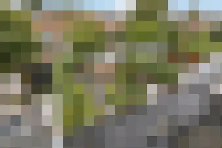 Ruys de Beerenbroucklaan 17 Amstelveen thumbnail 41