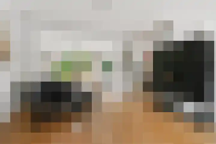 Ruys de Beerenbroucklaan 17 Amstelveen thumbnail 5