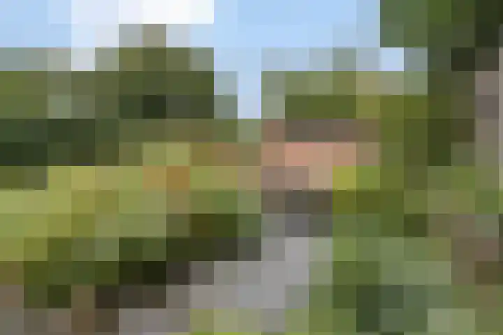 Ruys de Beerenbroucklaan 17 Amstelveen thumbnail 51