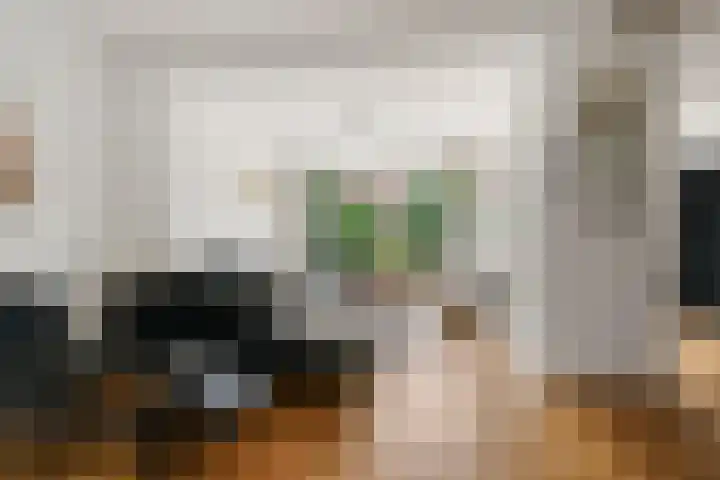 Ruys de Beerenbroucklaan 17 Amstelveen thumbnail 6