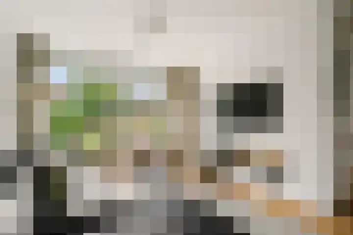 Ruys de Beerenbroucklaan 17 Amstelveen thumbnail 8