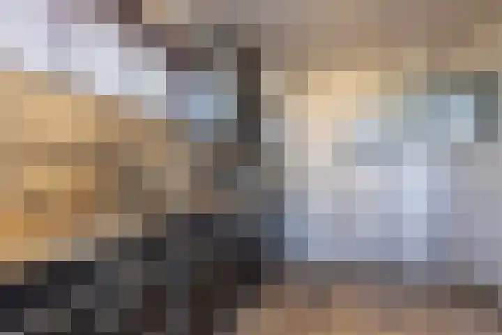 Ruys de Beerenbroucklaan 25 Urmond thumbnail 16