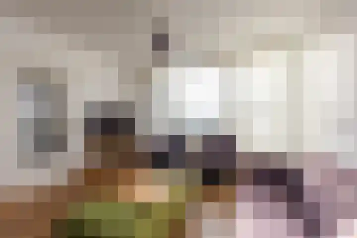 Ruys de Beerenbroucklaan 25 Urmond thumbnail 20