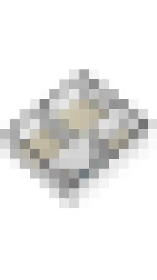 Ruys de Beerenbroucklaan 25 Urmond thumbnail 38