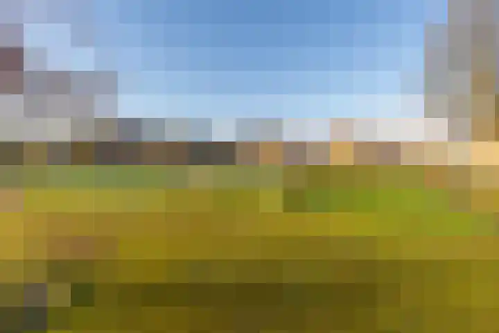 Ruys de Beerenbroucklaan 25 Urmond thumbnail 4