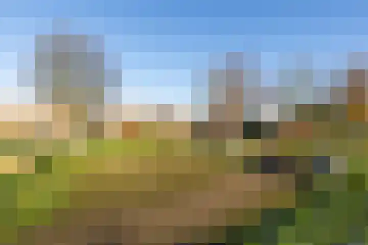 Ruys de Beerenbroucklaan 25 Urmond thumbnail 5
