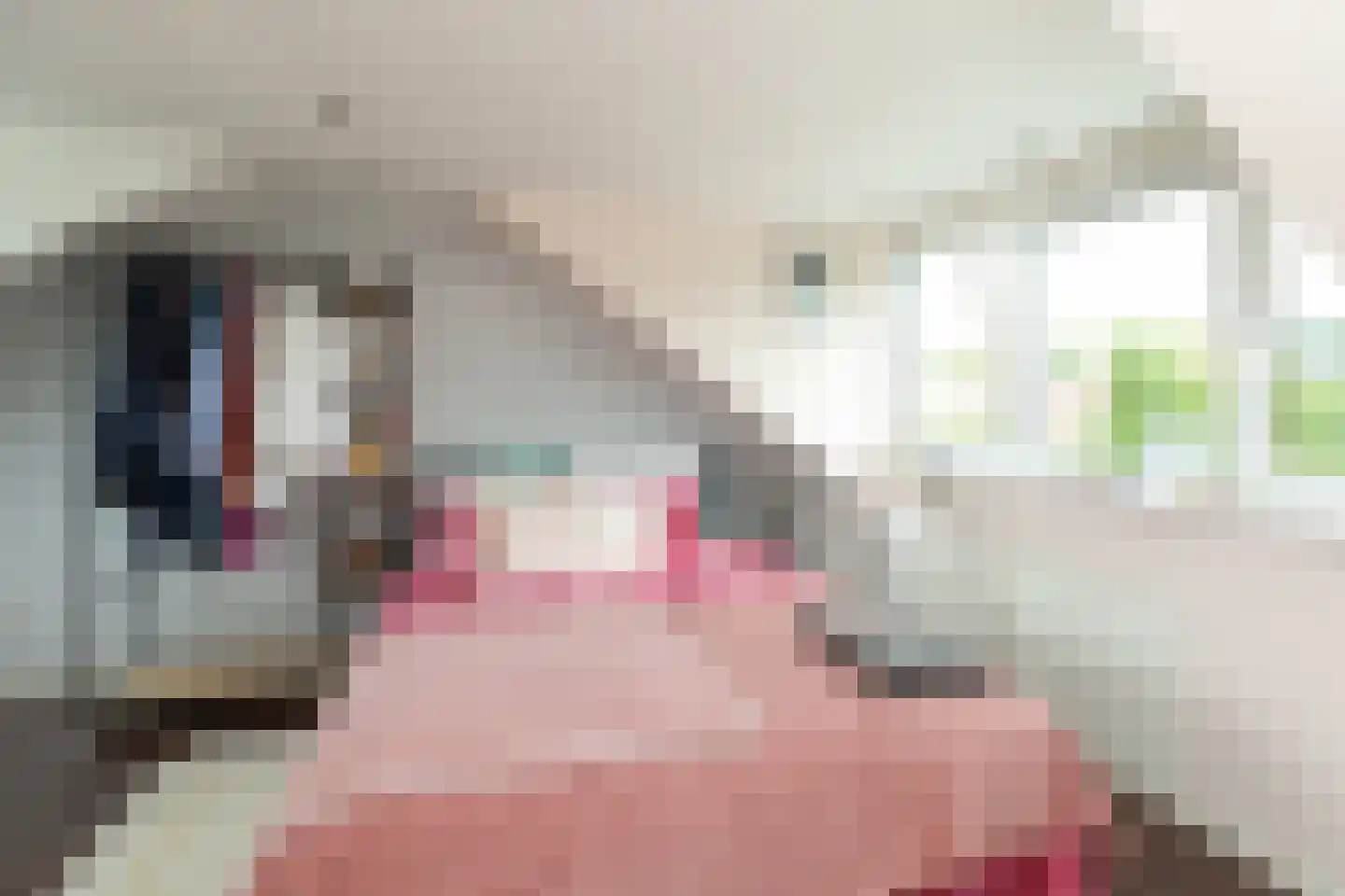 Ruys de Beerenbroucklaan 31 Amstelveen thumbnail 23