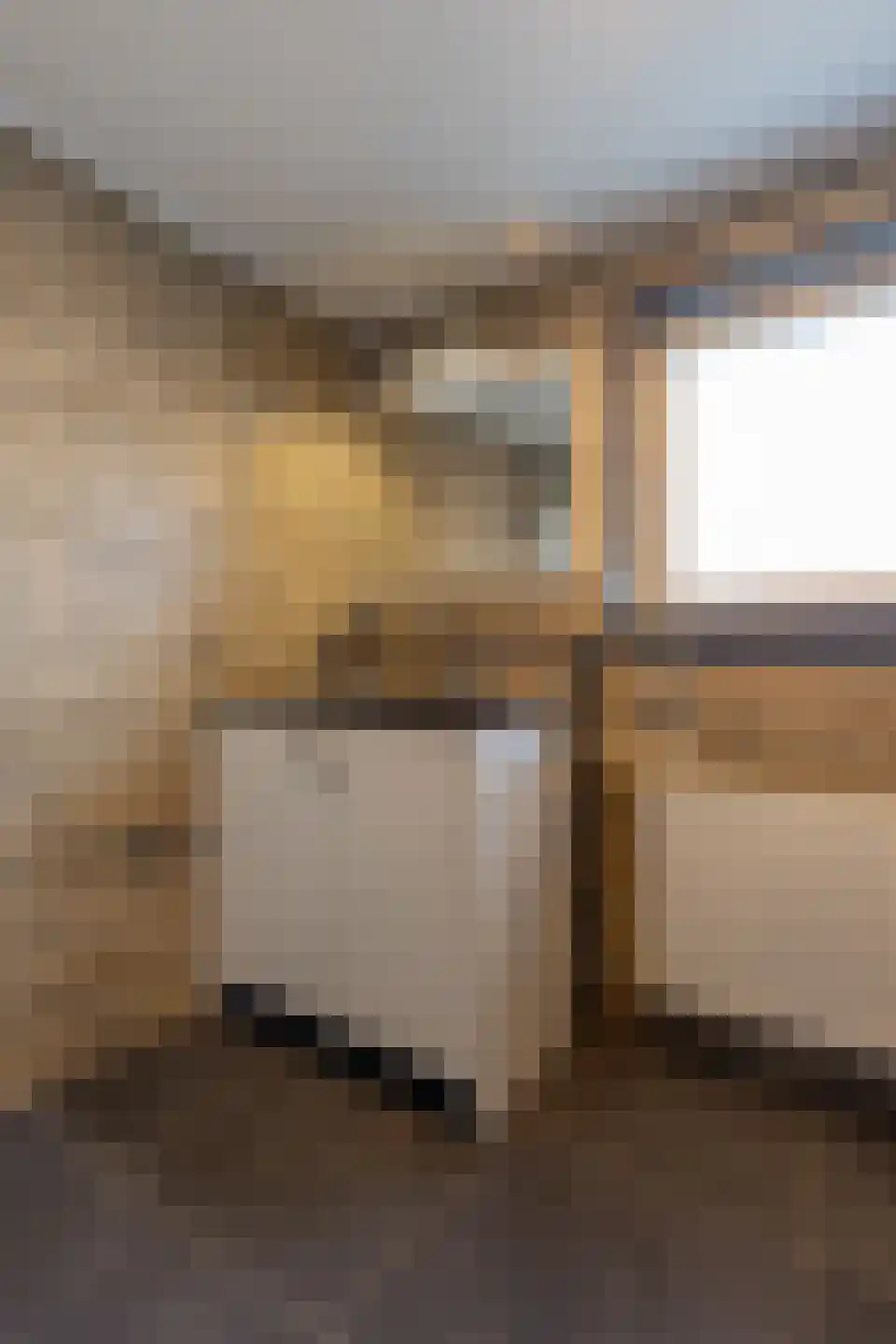 Ruys de Beerenbroucklaan 35 Urmond thumbnail 30
