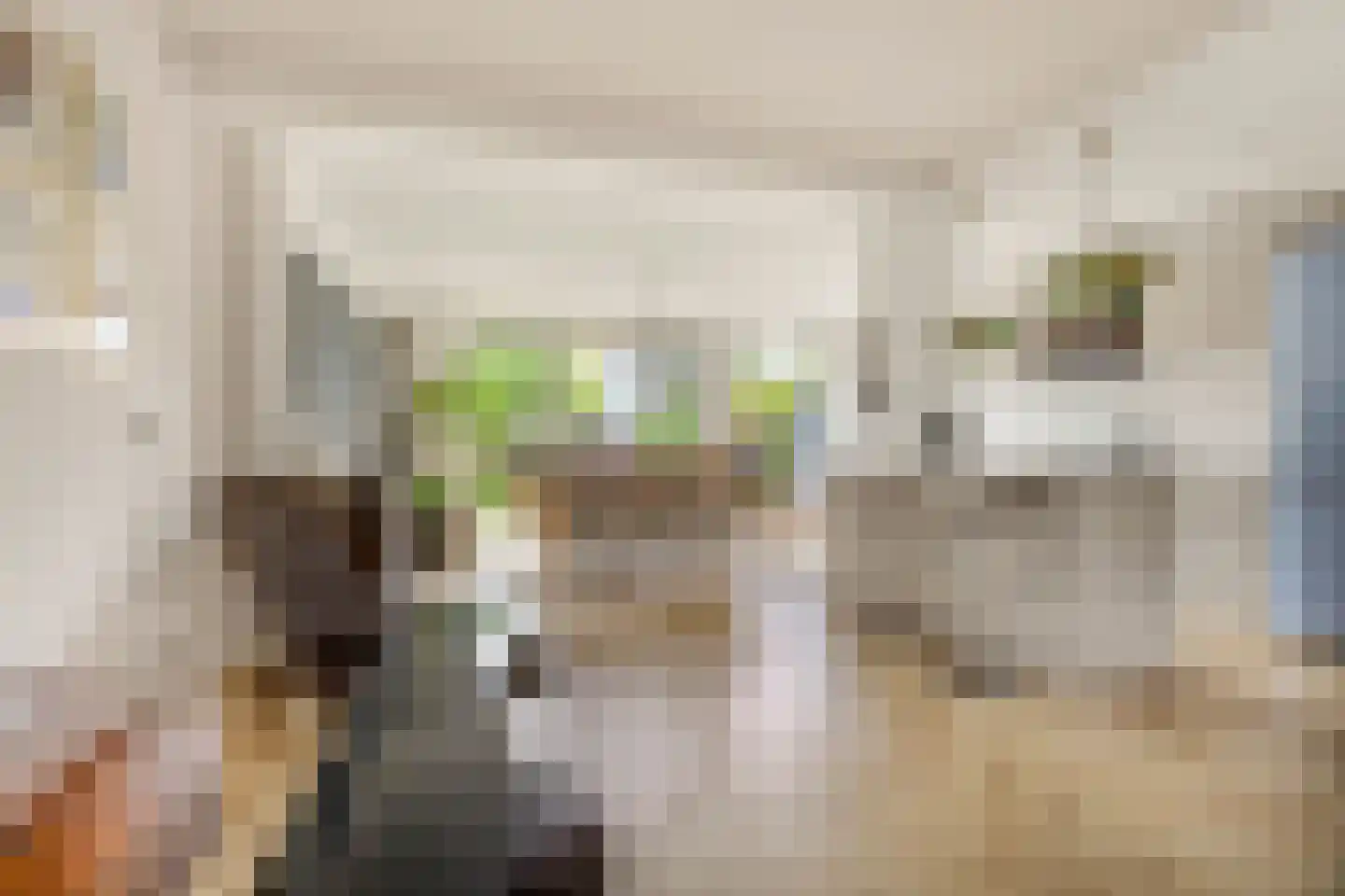 Ruys de Beerenbroucklaan 4 Amstelveen thumbnail 20