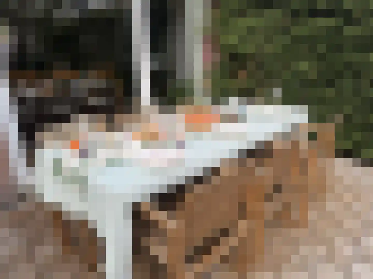 Ruys de Beerenbroucklaan 4 Amstelveen thumbnail 31