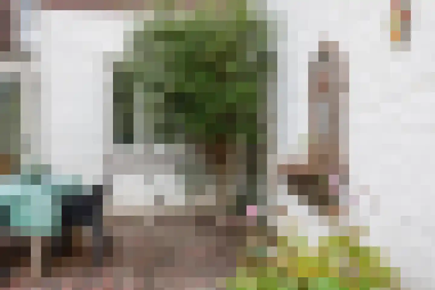 Ruys de Beerenbroucklaan 40 Heerlen thumbnail 36