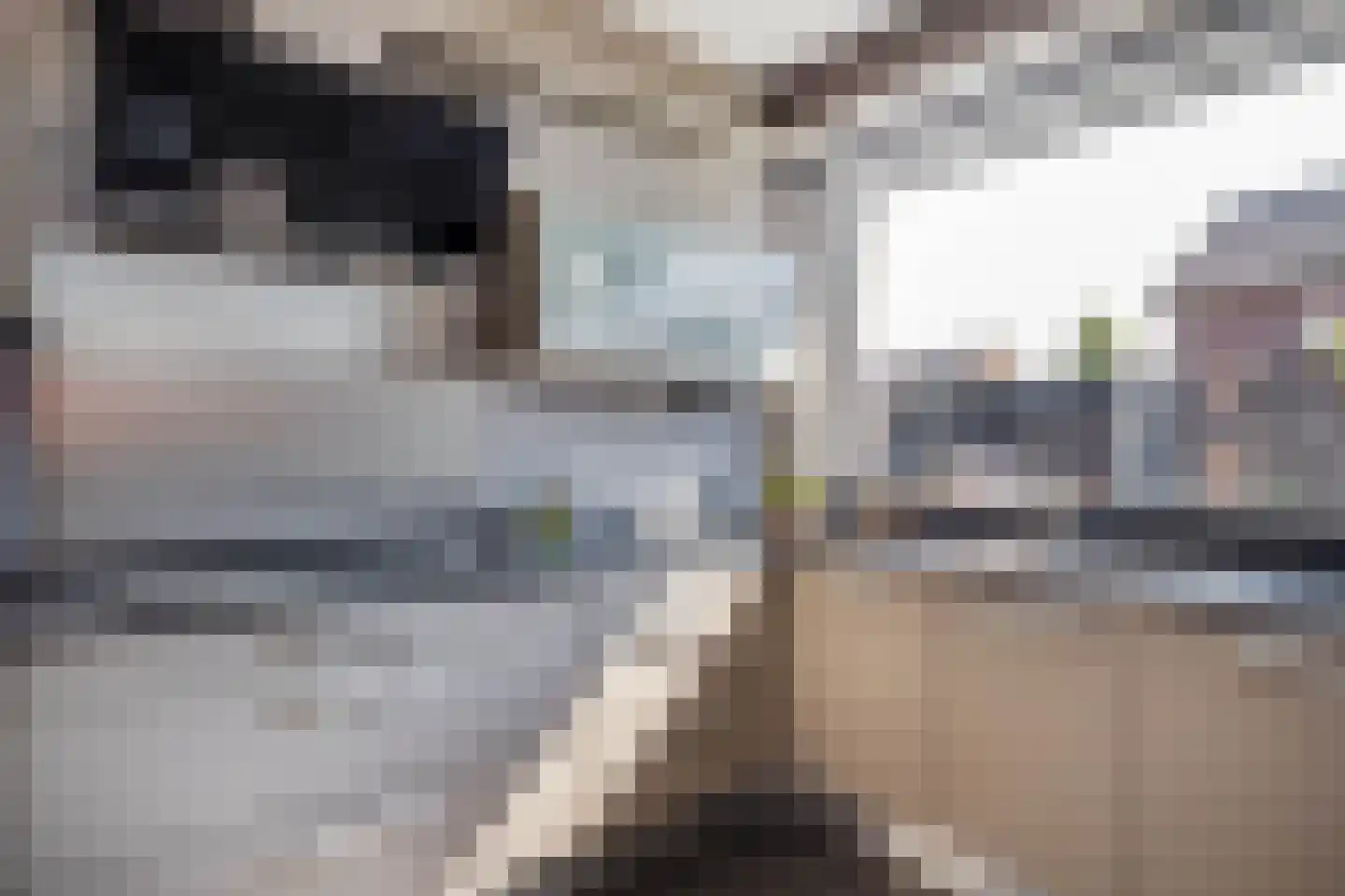 Ruys de Beerenbroucklaan 42 Urmond thumbnail 23