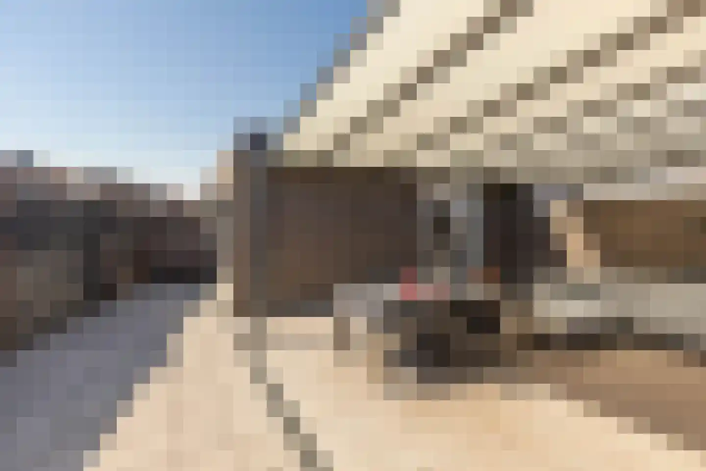 Ruys de Beerenbroucklaan 42 Urmond thumbnail 47