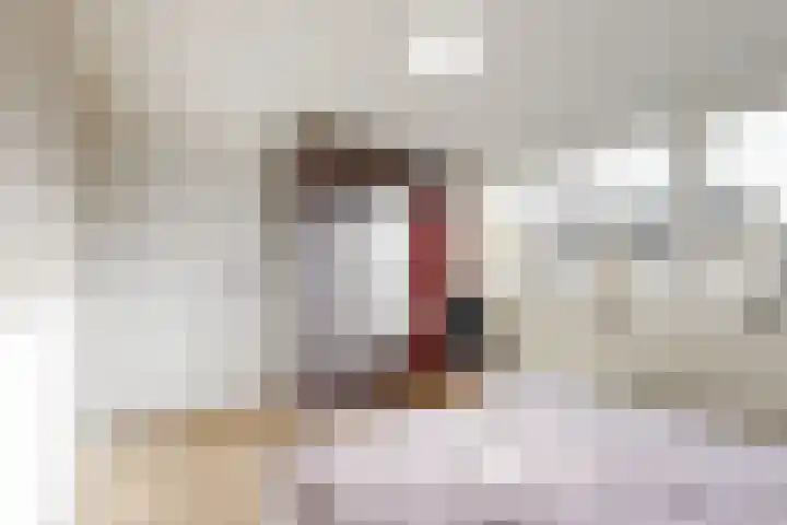 Ruys de Beerenbroucklaan 5 Urmond thumbnail 10