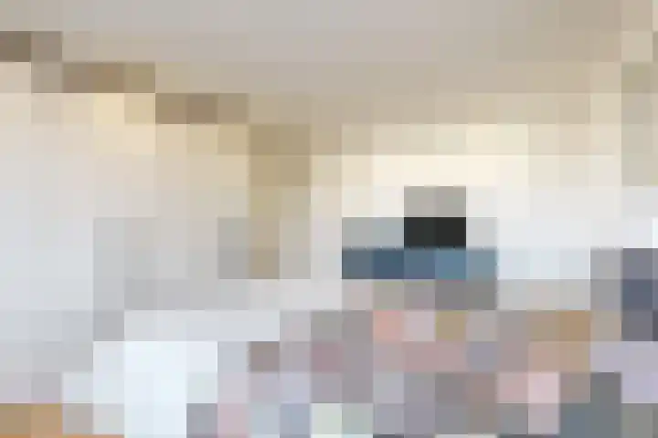 Ruys de Beerenbroucklaan 5 Urmond thumbnail 14