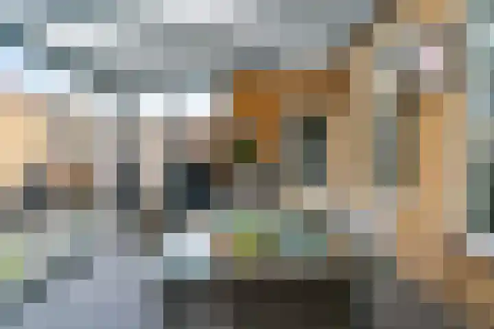 Ruys de Beerenbroucklaan 5 Urmond thumbnail 24