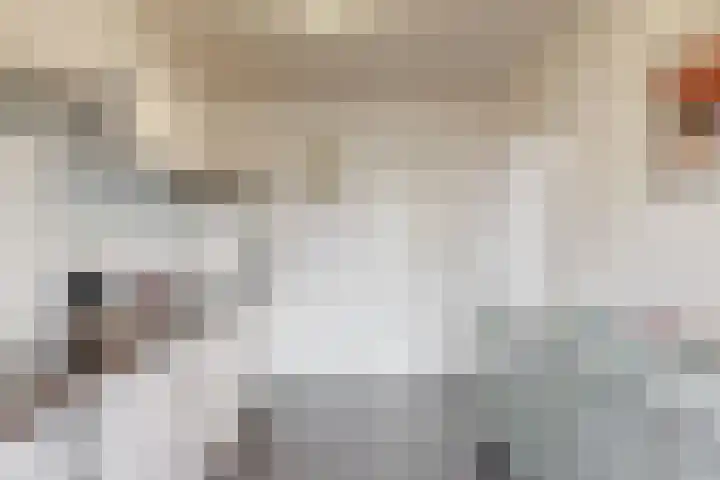 Ruys de Beerenbroucklaan 5 Urmond thumbnail 7