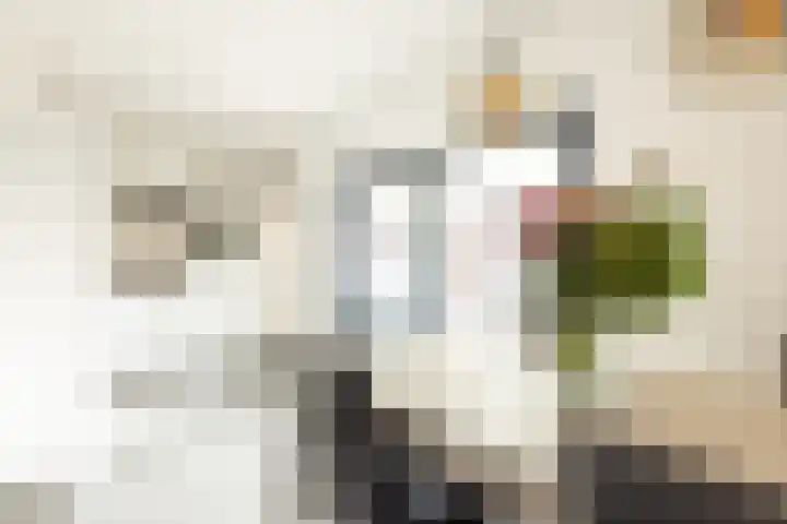 Ruys de Beerenbroucklaan 50 Urmond thumbnail 14