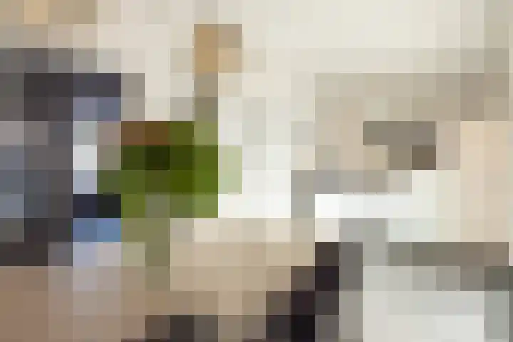 Ruys de Beerenbroucklaan 50 Urmond thumbnail 15