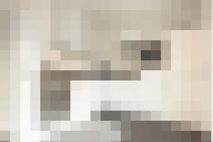 Ruys de Beerenbroucklaan 50 Urmond thumbnail 16