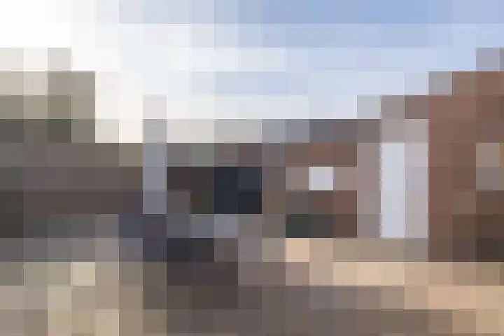 Ruys de Beerenbroucklaan 50 Urmond thumbnail 32