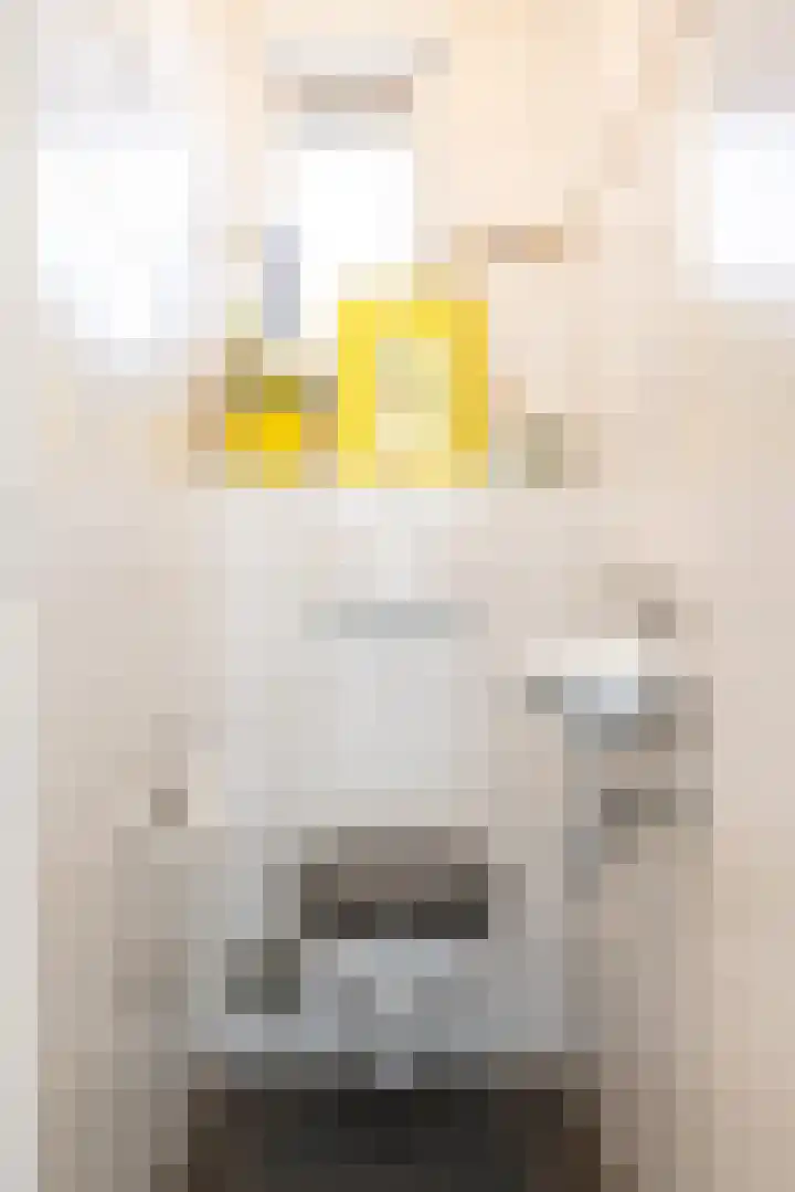 Ruys de Beerenbroucklaan 50 Urmond thumbnail 8