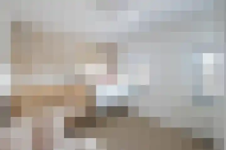 Ruys de Beerenbroucklaan 52 Urmond thumbnail 12