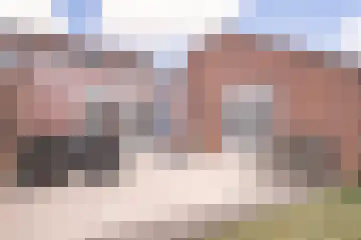 Ruys de Beerenbroucklaan 52 Urmond thumbnail 16