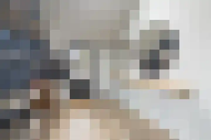 Ruys de Beerenbroucklaan 52 Urmond thumbnail 8