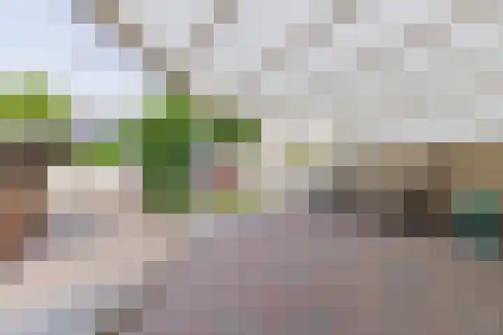 Ruys de Beerenbroucklaan 55 Urmond thumbnail 15
